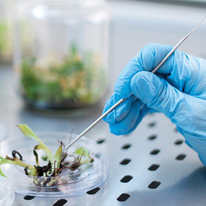 دانشکده-علوم-پزشکی1