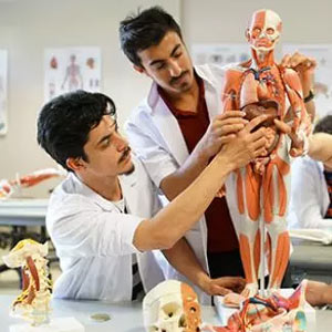 فیزیوتراپی-و-توانبخشی